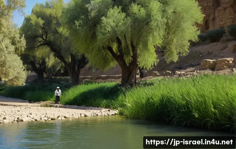 이스라엘의 요르단 강 침례 명소 관련 이미지 2